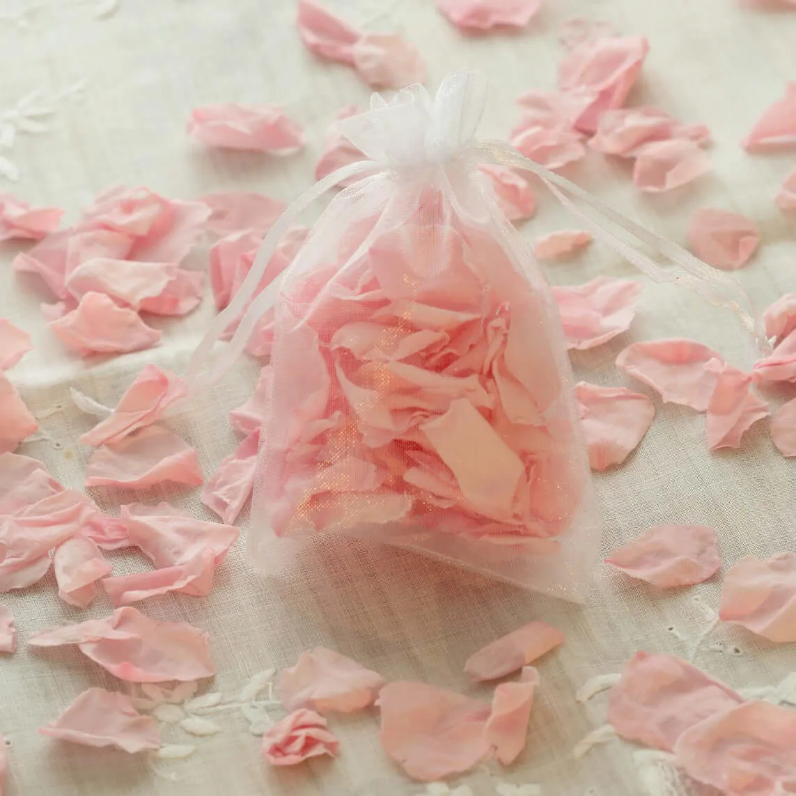 10 Pack 5"x7" Blush Organza Drawstring Wedding Party Favor Gift Bags