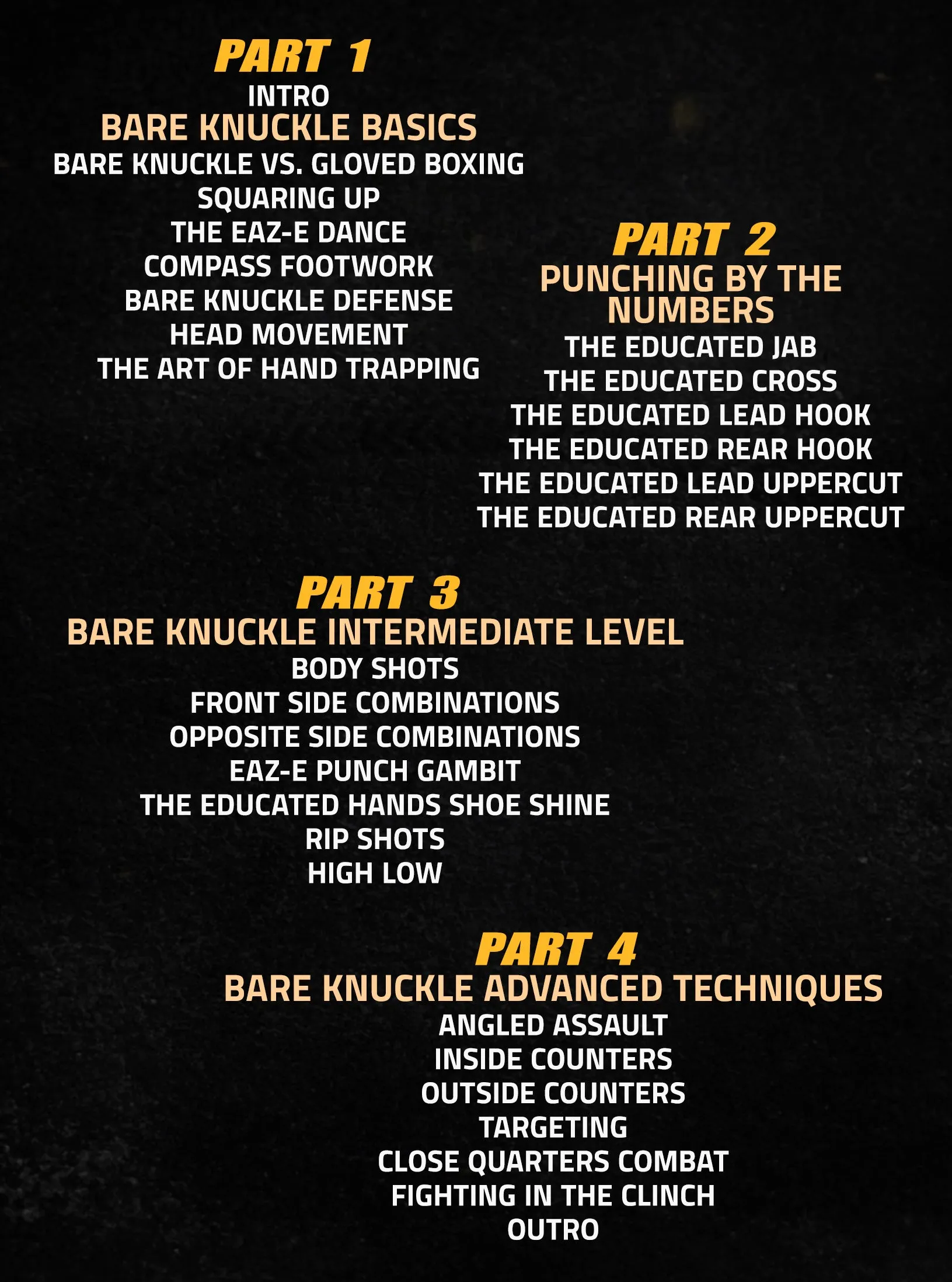 The Educated Hands Bare Knuckle Boxing System by Reggie Barnett Jr.