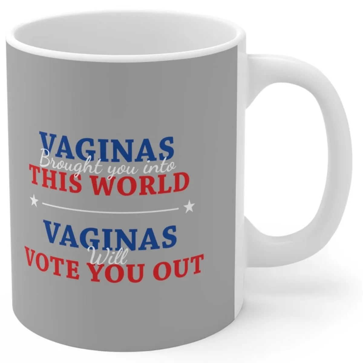 Vaginas Brought You Into This World - Mug